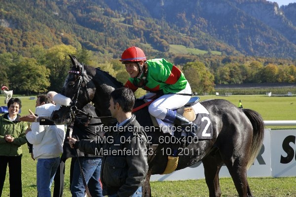 IMG 0414.2 600x400 prot