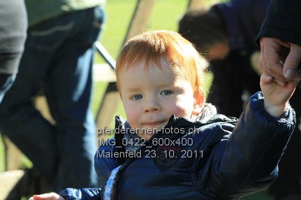 IMG 0422 600x400 prot