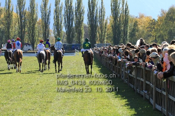 IMG 0438 600x400 prot