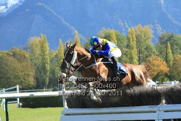 IMG 0458 600x400 prot