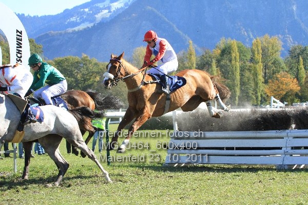 IMG 0464 600x400 prot