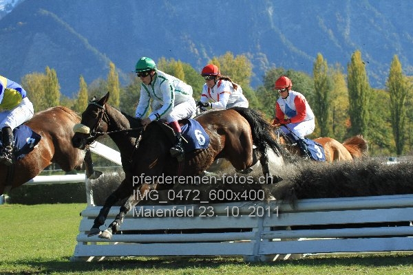 IMG 0472 600x400 prot