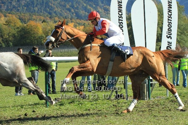 IMG 0478 600x400 prot