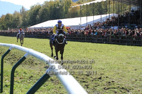 IMG 0494 600x400 prot