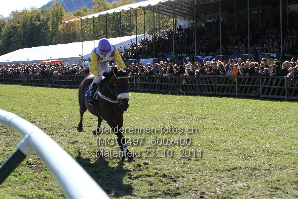 IMG 0497 600x400 prot