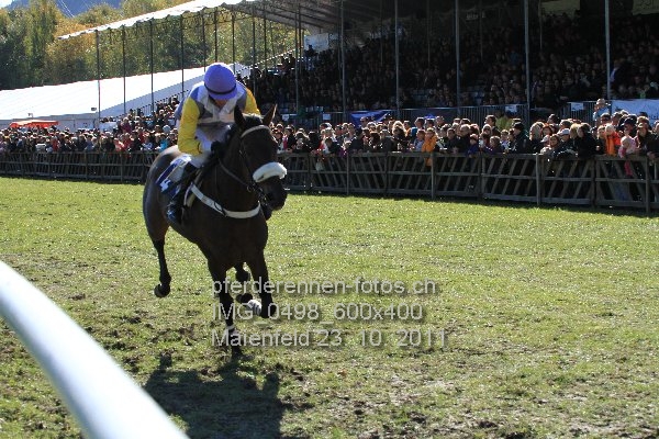 IMG 0498 600x400 prot