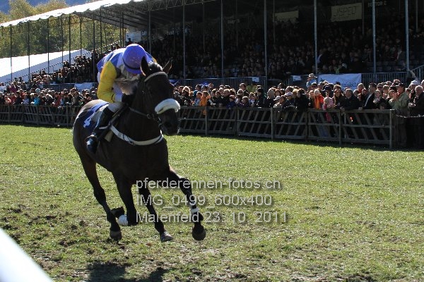 IMG 0499 600x400 prot