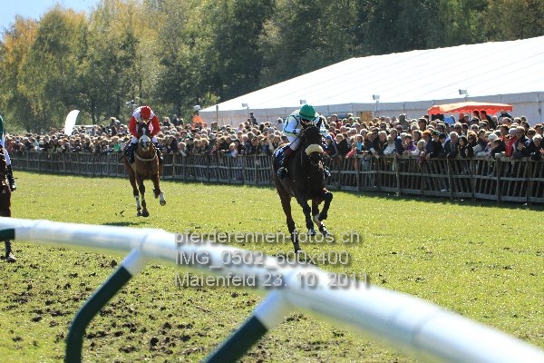 IMG 0502 600x400 prot