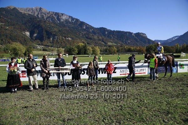 IMG 0542.1 600x400 prot
