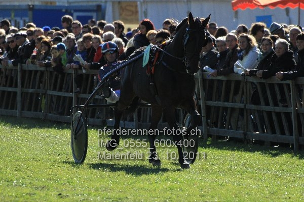 IMG 0555 600x400 prot