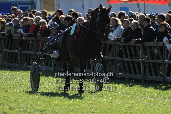 IMG 0556 600x400 prot