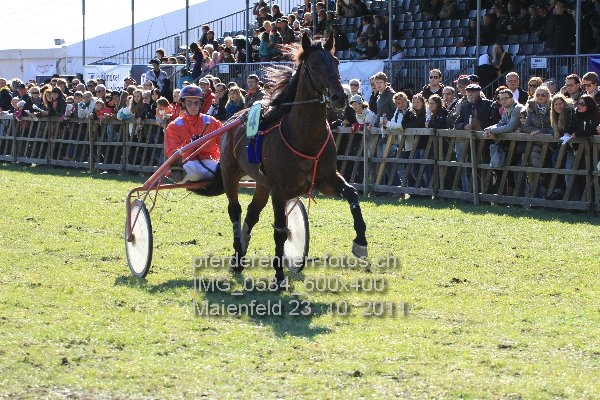 IMG 0584 600x400 prot