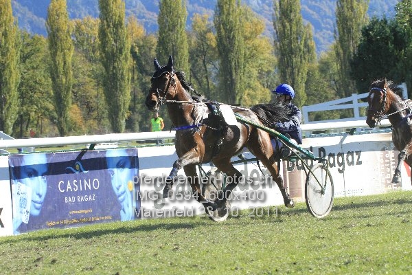 IMG 0594 600x400 prot
