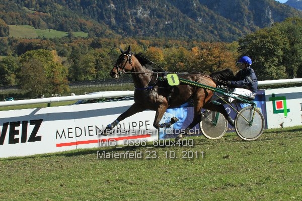 IMG 0596 600x400 prot