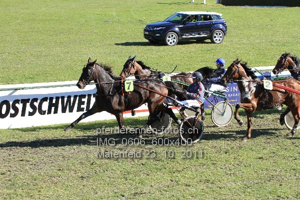IMG 0606 600x400 prot