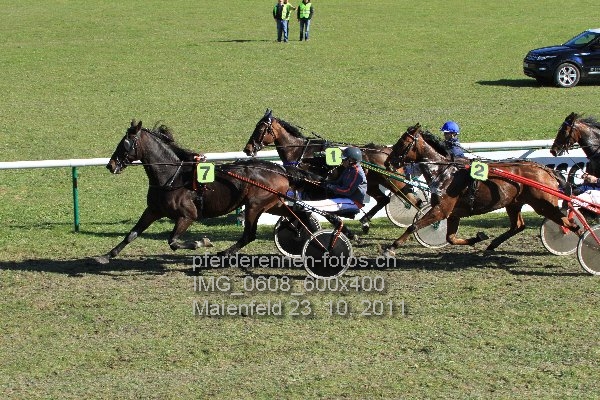 IMG 0608 600x400 prot