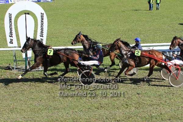 IMG 0610 600x400 prot