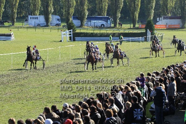 IMG 0614 600x400 prot