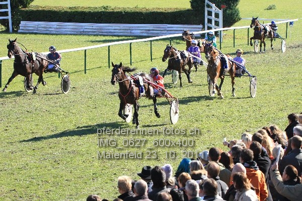 IMG 0627 600x400 prot