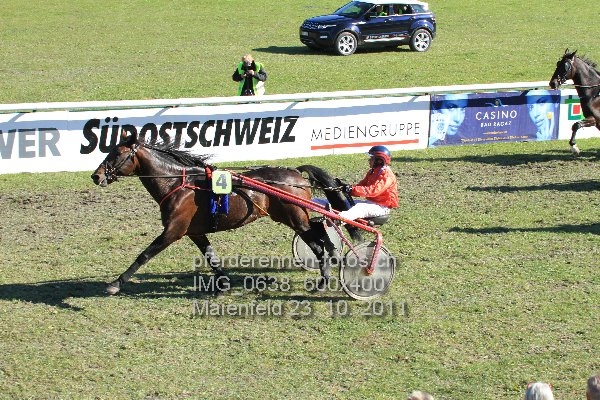 IMG 0638 600x400 prot