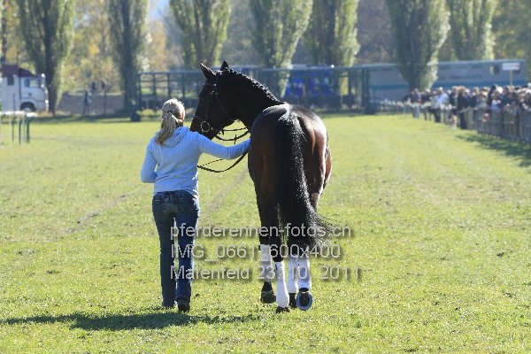 IMG 0661 600x400 prot