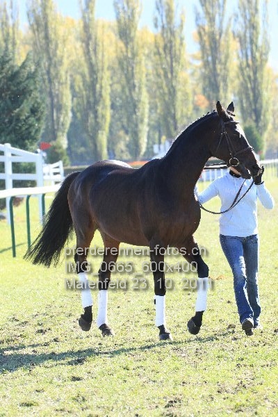 IMG 0665 600x400 prot