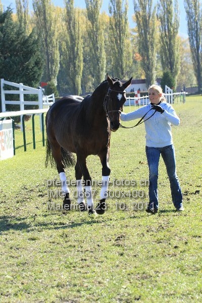 IMG 0667 600x400 prot
