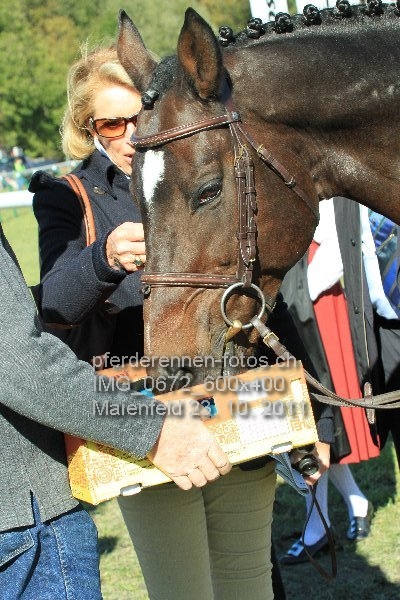 IMG 0672 600x400 prot