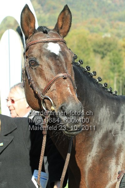 IMG 0684 600x400 prot