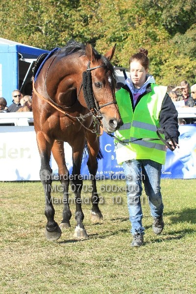 IMG 0705 600x400 prot