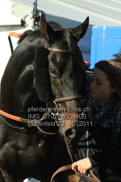 IMG 0707 600x400 prot