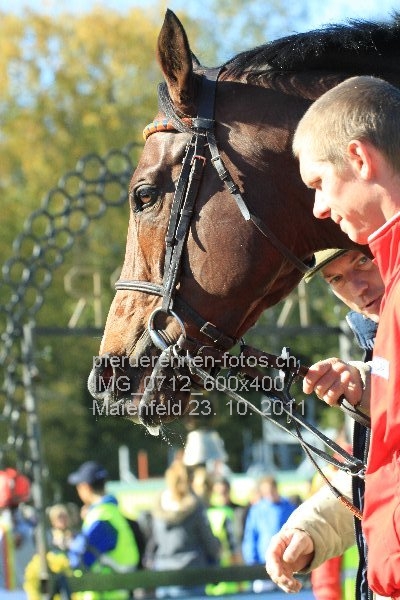 IMG 0712 600x400 prot