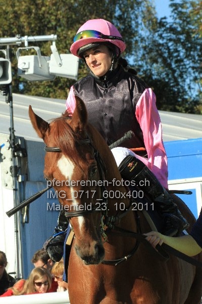 IMG 0717 600x400 prot