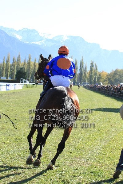 IMG 0723 600x400 prot