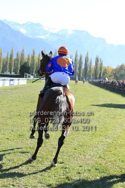 IMG 0724 600x400 prot