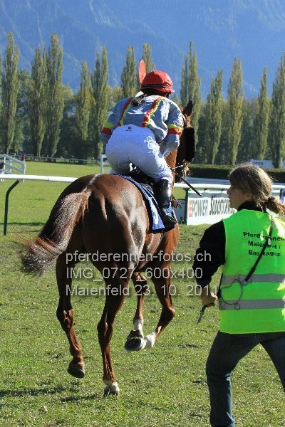 IMG 0727 600x400 prot