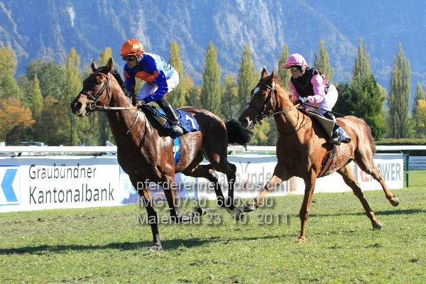 IMG 0730 600x400 prot