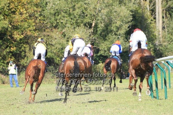 IMG 0742 600x400 prot