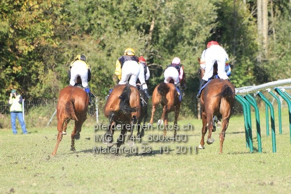IMG 0744 600x400 prot