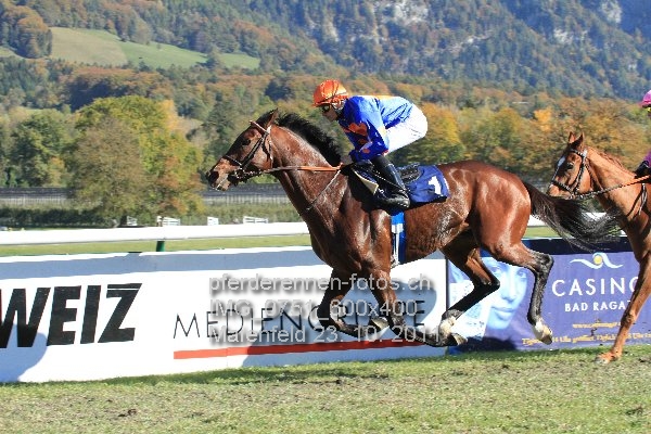 IMG 0751 600x400 prot