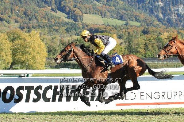 IMG 0754 600x400 prot