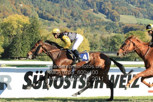 IMG 0755 600x400 prot