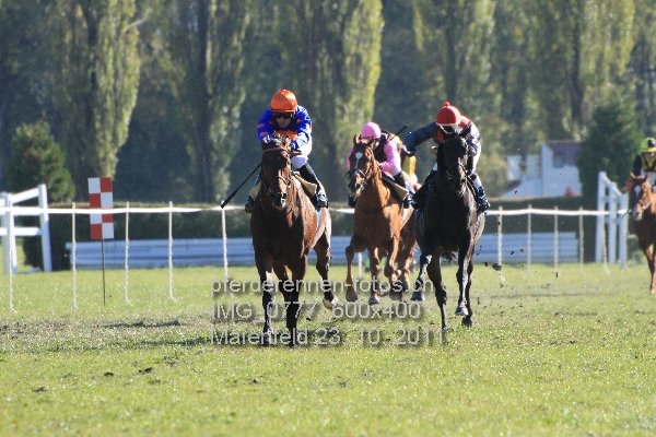 IMG 0777 600x400 prot