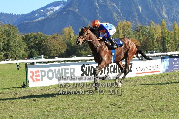 IMG 0791 600x400 prot