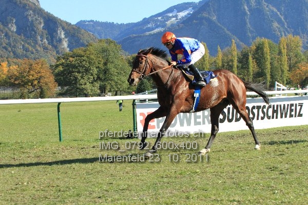 IMG 0792 600x400 prot