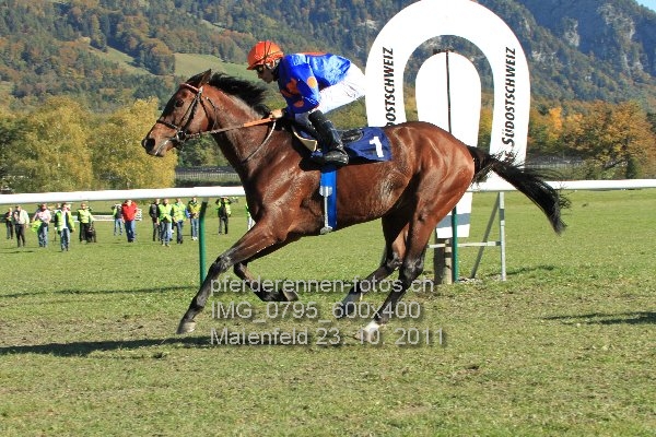 IMG 0795 600x400 prot