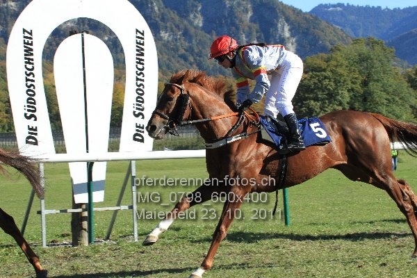 IMG 0798 600x400 prot