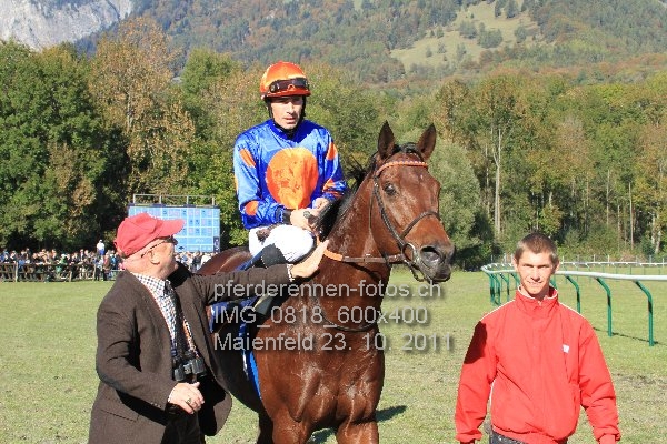 IMG 0818 600x400 prot