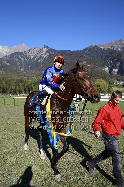 IMG 0826 600x400 prot