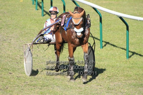 IMG 0847 600x400 prot
